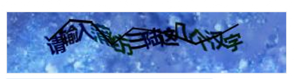 A sample of the captcha used during the miaosha sale. The buyer is asked to write in Chinese four of the characters in the sentence.